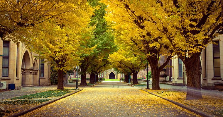 东京大学留学条件,东京大学留学条件读研