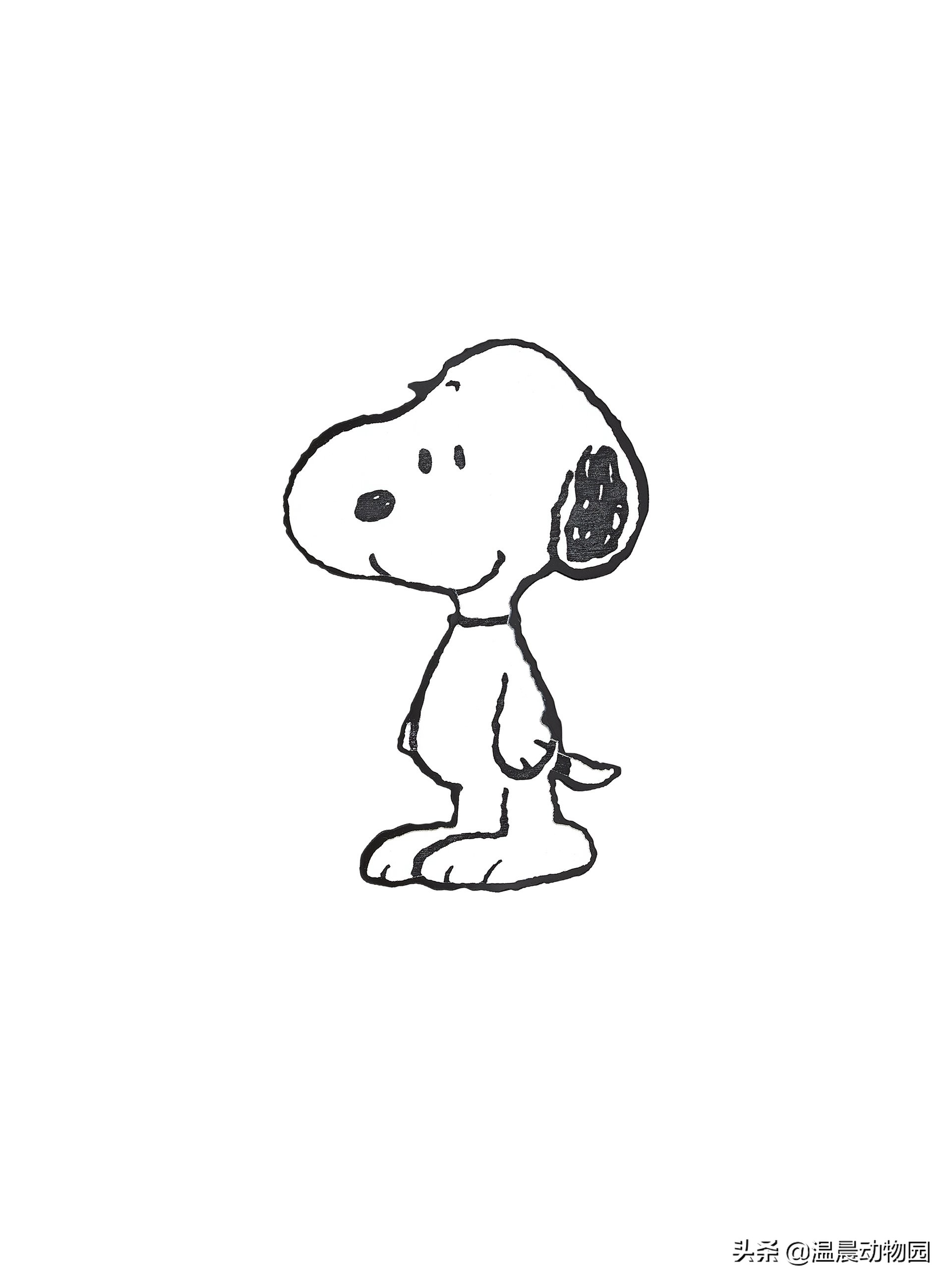 史努比原型(史努比原型是什么狗)