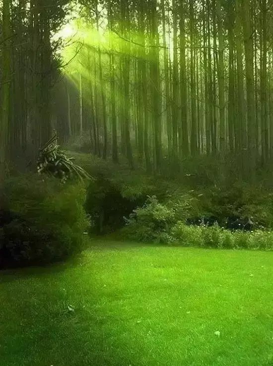 世界极致美景，一睹为快！
