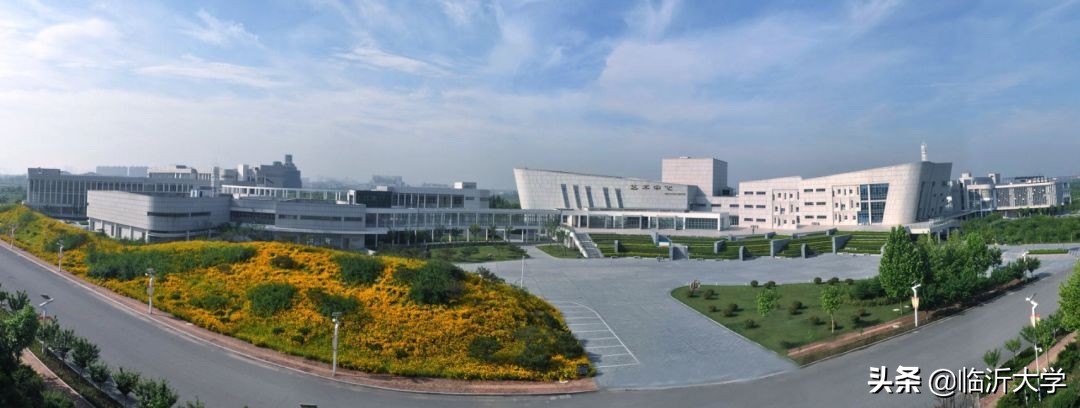 权威发布，临沂大学2020年艺术类专业招生计划