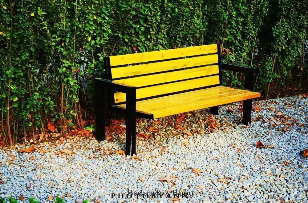 这几所学校专业排在全国前列,竟有人拿来保底?