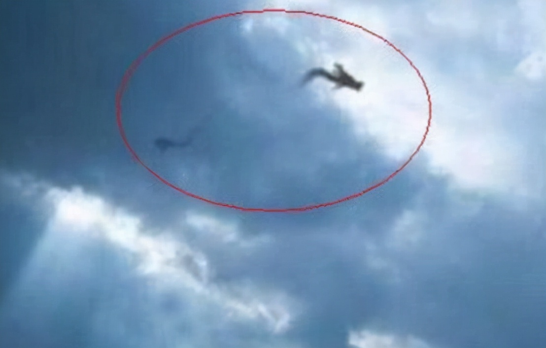 1995年，安徽曾有巨蟒渡劫，却被雷电击中飞升失败，是真是假？