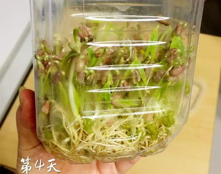 ëô(bian)ԲĻƶë(dou)Աɻƶ-12ͼƬ-Ʒ