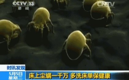 孩子尘螨过敏怎么办？三甲儿童医院医生给你支招