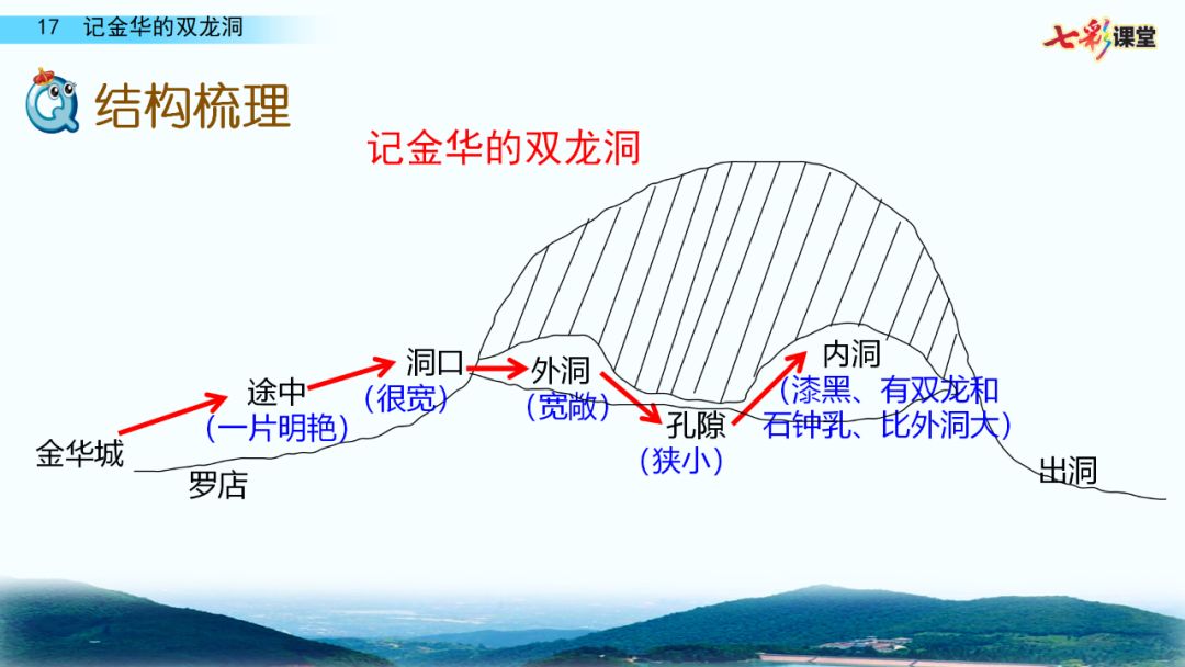 石钟乳是什么意思（石钟乳 什么意思）-第38张图片-巴山号