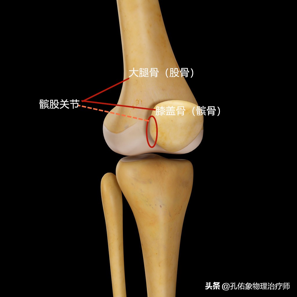 膝盖以下腿酸软无力看什么科(上下楼时膝盖疼痛打软腿，教你简单判断是啥问题？并给出治疗方案)