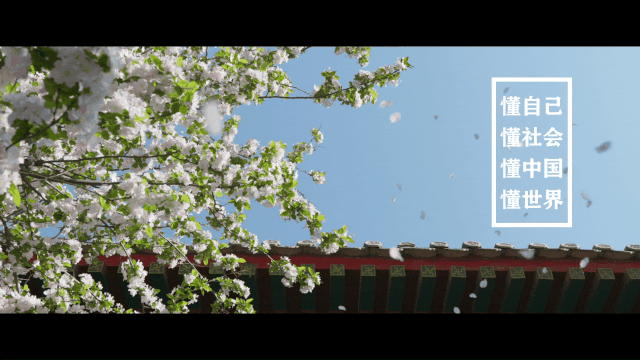 北京大学2020年招生宣传片发布！就在《你的大学，绽放》！