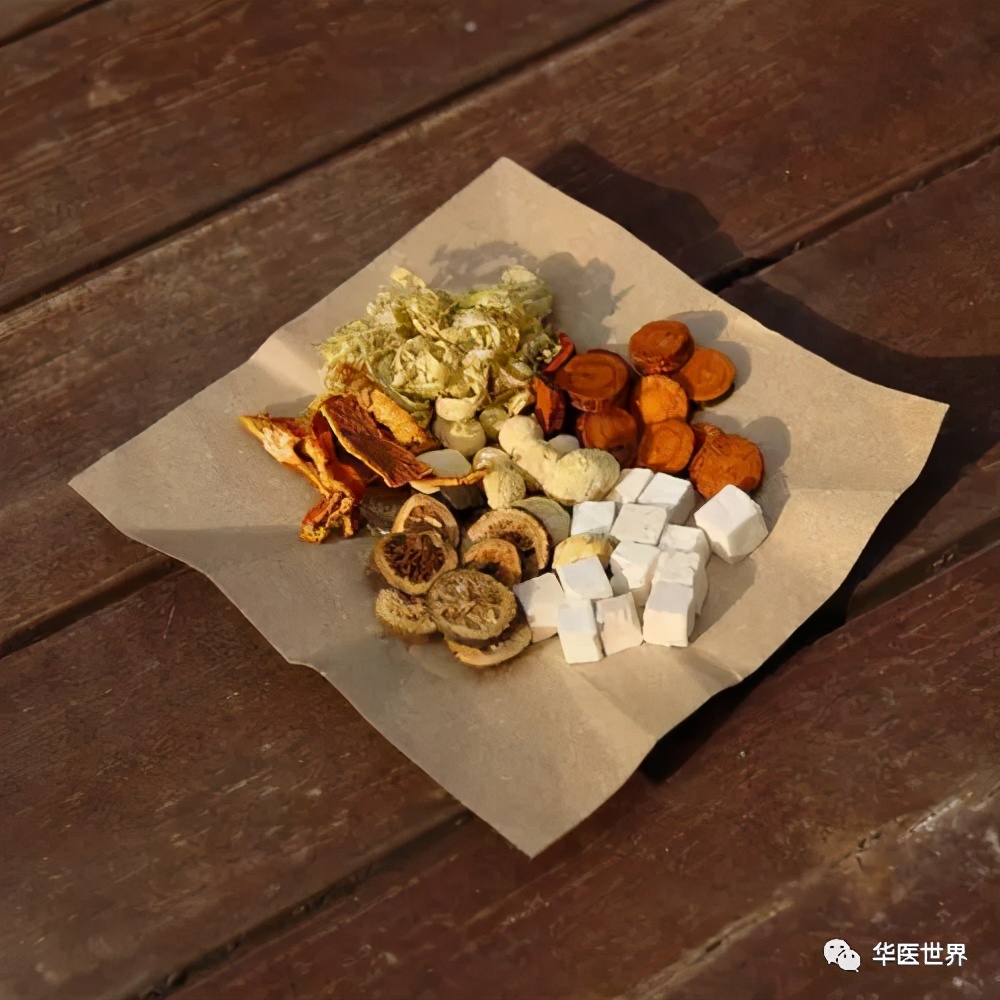 陈明教授：活用《伤寒》五苓散