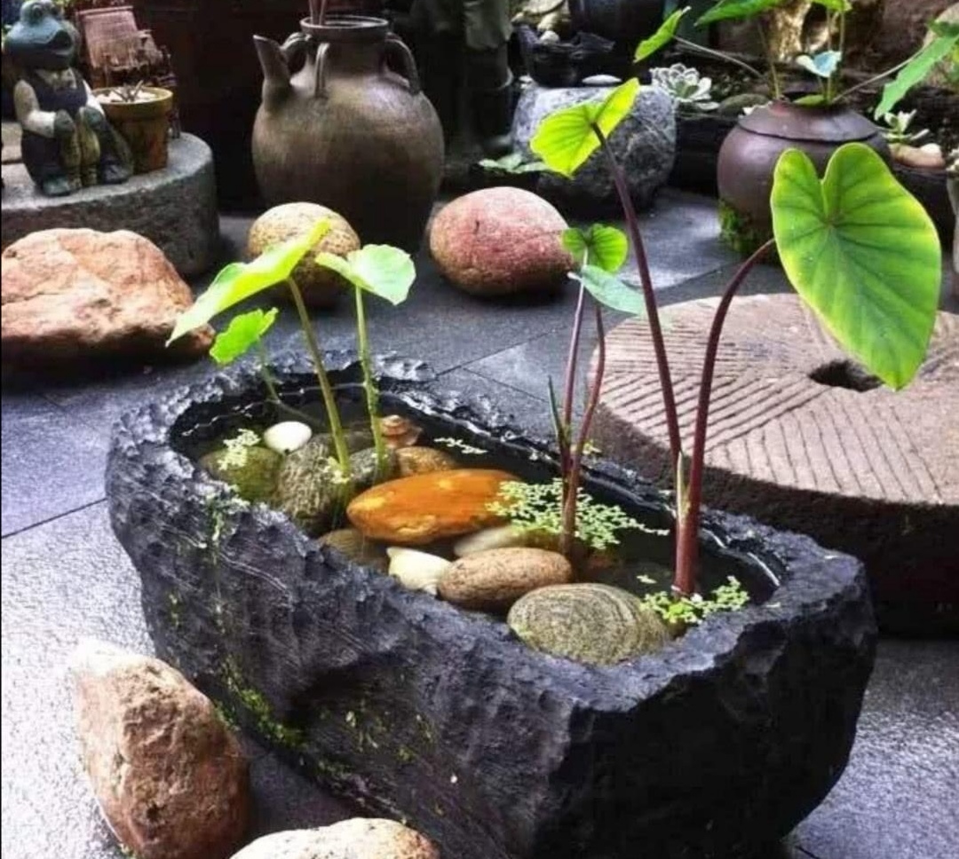 坛子改造的花盆图(超美观的破缸破坛子花盆)