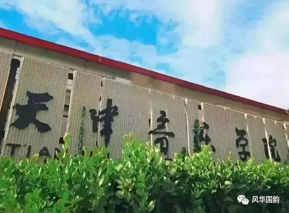 比比谁最贵，中国各大音乐学院学费比拼