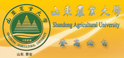 上海财大学91.山东师范大学92.华北电力大学93.昆明理工大学94.
