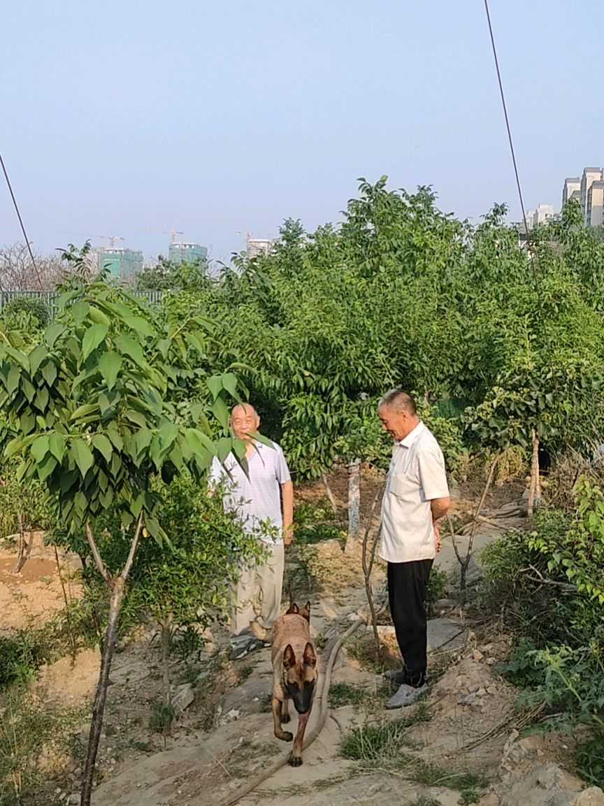 美景千千共花醉，旅人驻步秀色餐——屏阳花卉园游吟二首