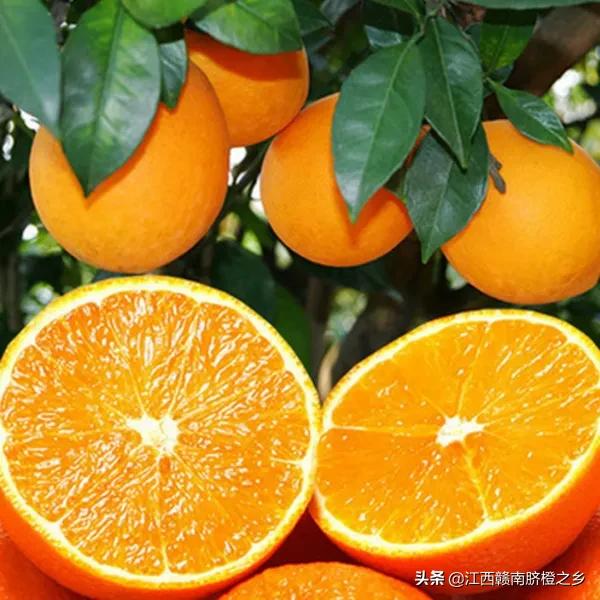 鮮橙汁,鮮橙汁的功效與作用