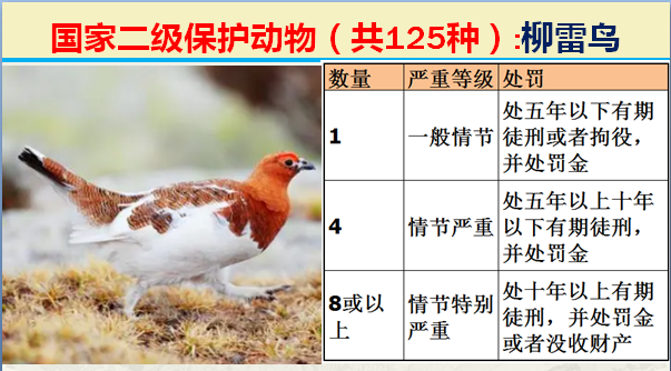 国家保护动物分几个等级（125类二级野生保护名录）