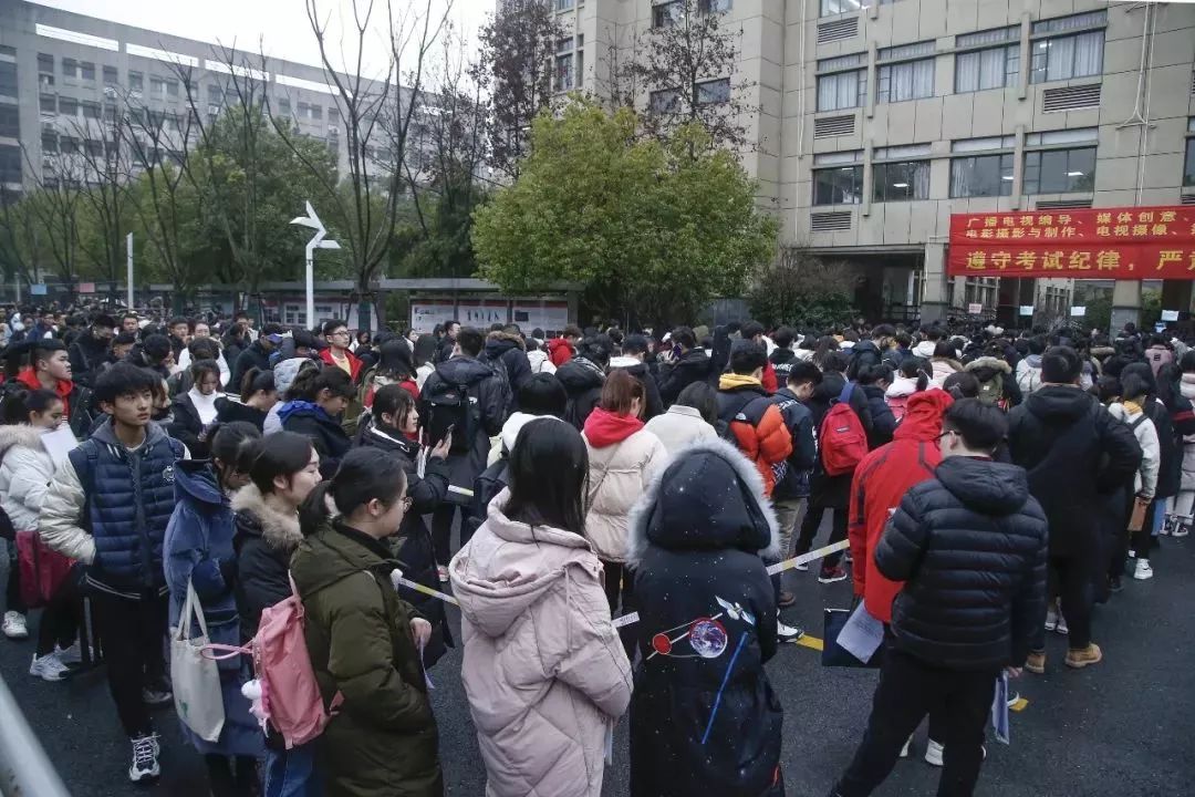 文化素质要求提升，艺考不再是考学捷径？丨Mr.Data