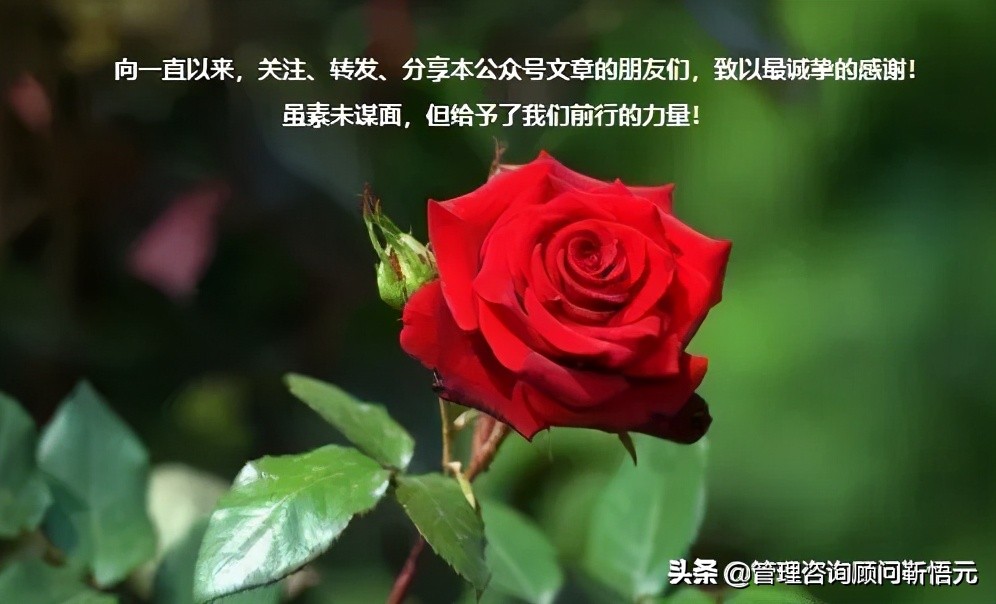 用图表解决员工日常事务管理