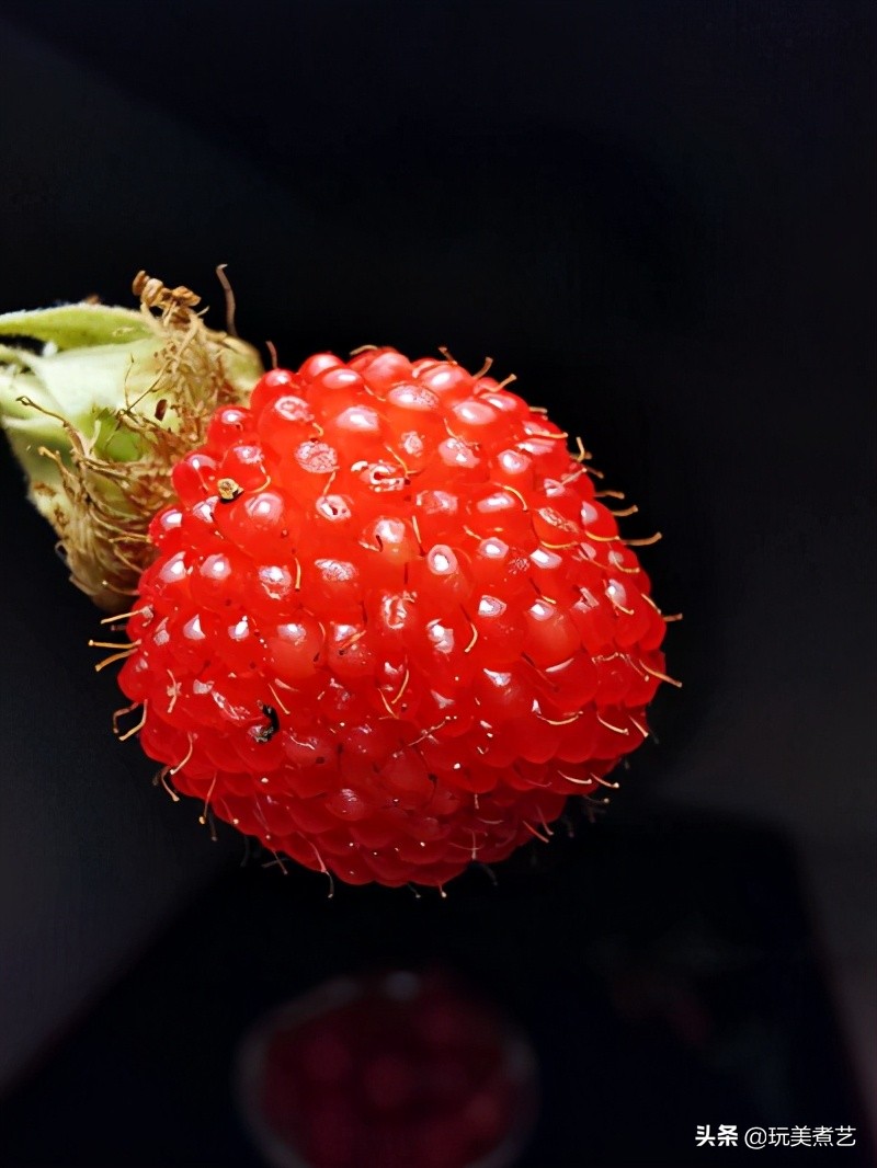 春光明媚好时光，树莓遇上菠萝，就来一个慕斯尝尝