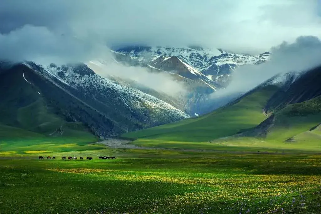 春天必去的20个旅行地,一起出发吧