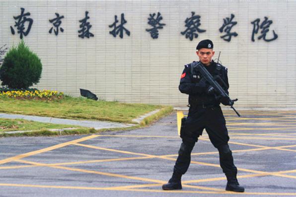 分数不高，想读警校？推荐南京这所“低调”的警校，入警率很高
