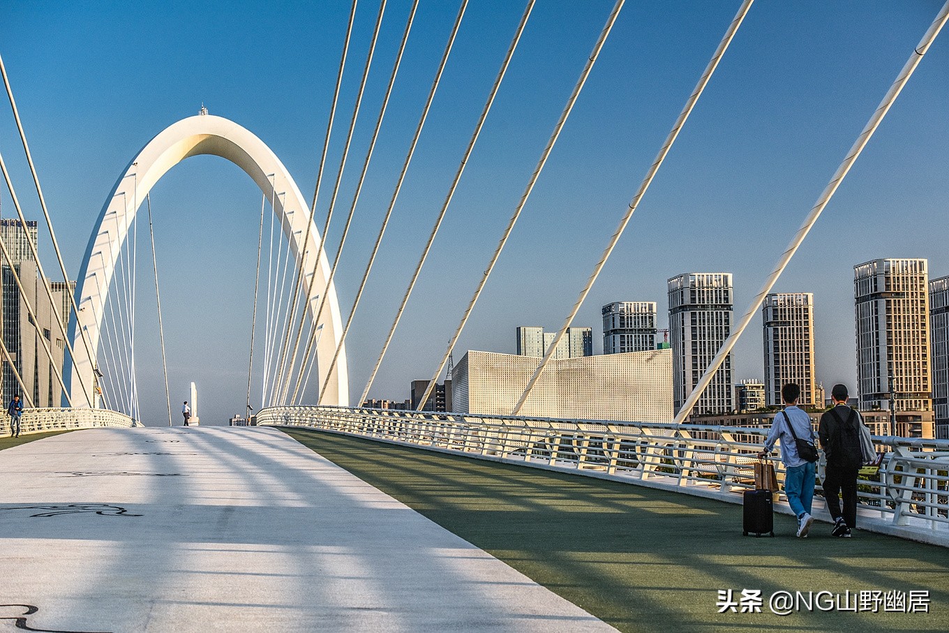 南京青奥森林公园简介(南京眼步行桥：颇具艺术范的跨江大桥，赏长江美景的好地方)