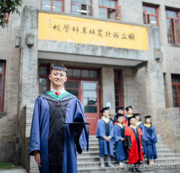 发表10篇一作SCI，助力地方发展，陕西这群“农业”研究生火了