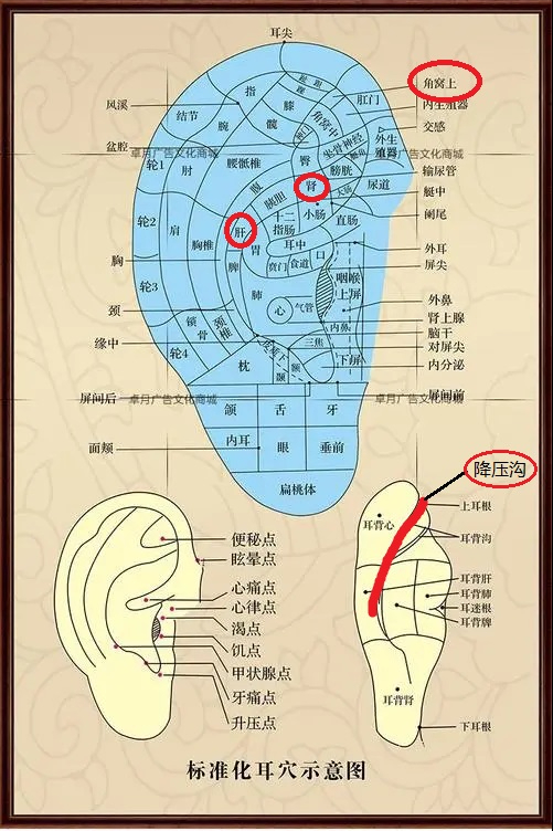 血压高，中医有哪些特色疗法？