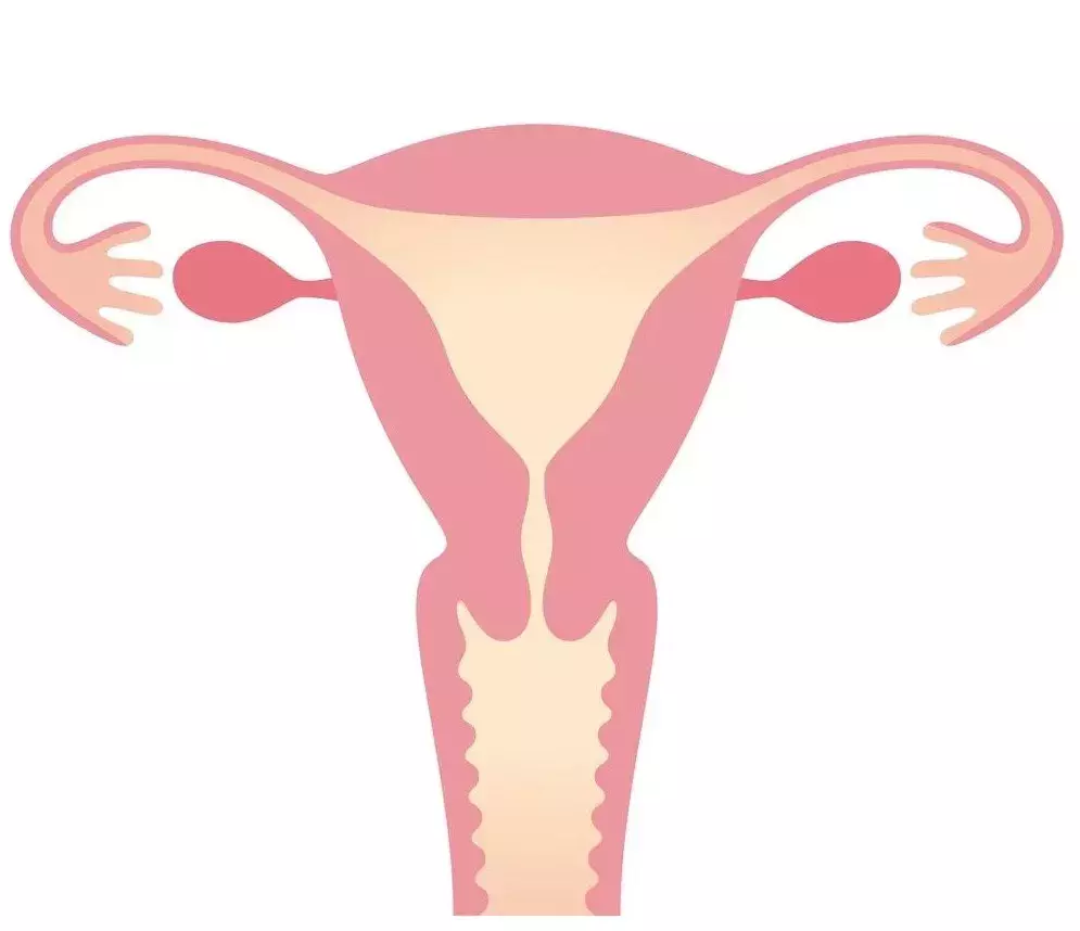 输卵管堵塞怎么办(妇产科医生)