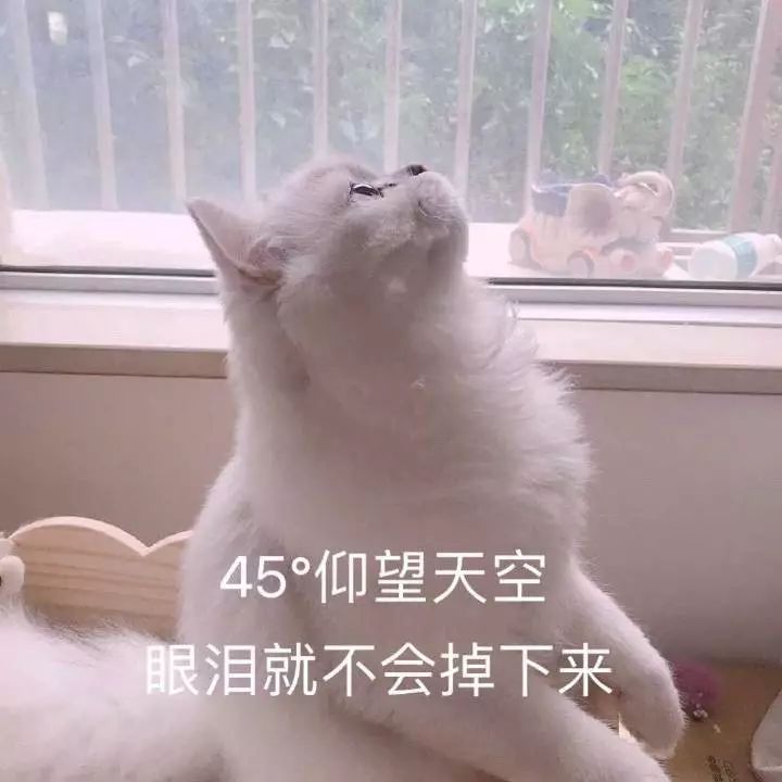 庆生文案：让我们恭喜这位幼儿园大班的小朋友今天生日快乐