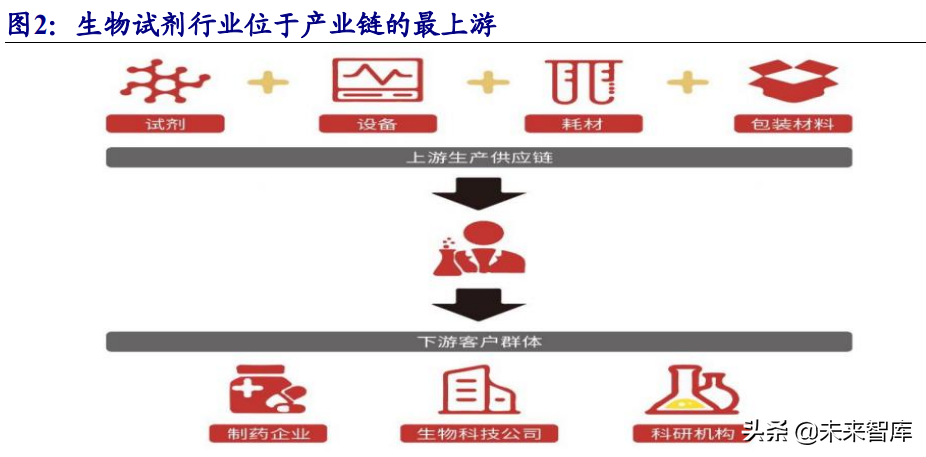 生物科研试剂行业研究：国内市场快速增长，行业百花齐放