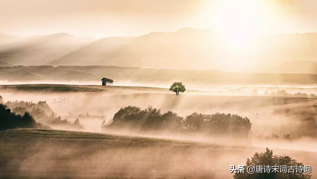 辛弃疾最出名25首诗词背景