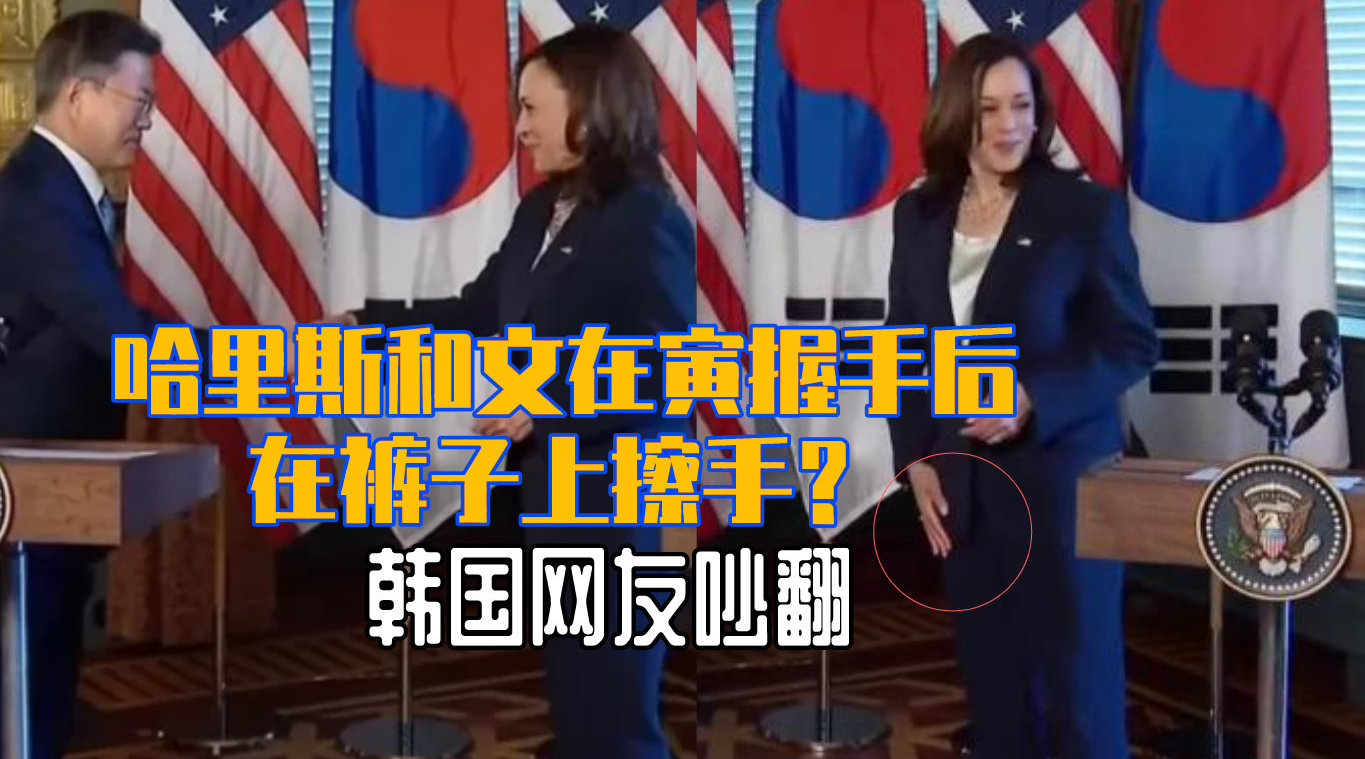 哈里斯简历(一个喜欢下跪，一个莫名大笑！美国副总统哈里斯，是如何当上的？)