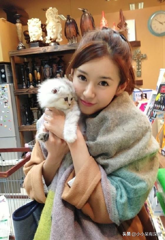 陈赫与前妻许婧,现任张子萱的爱恨纠葛,他的爱情挺让人看不懂的