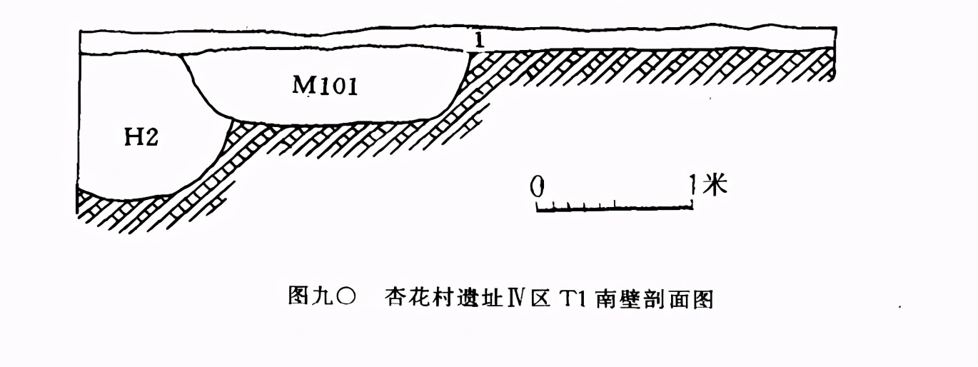 山西省汾阳市杏花村发现仰韶文化遗址