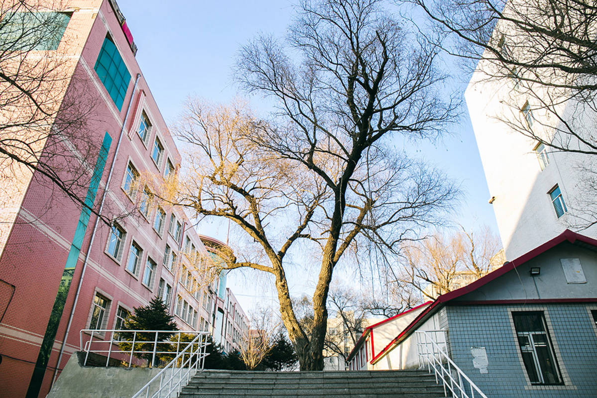 学参天地，德合自然：东北林业大学2021年艺考政策解读