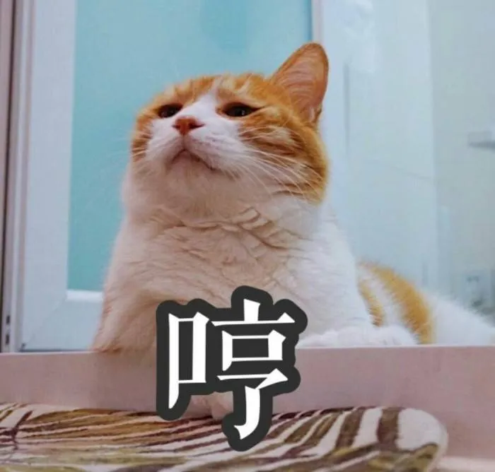 猫咪突然拉肚子了，该怎么办？