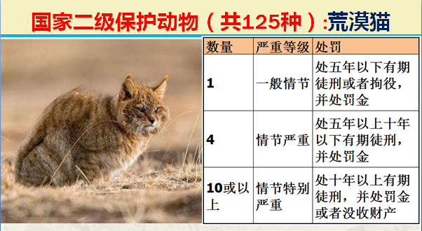 二级保护动物（国家最新125类二级野生保护名录）