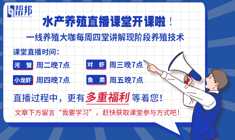 小龙虾养殖户致富有出路,每亩多赚8000元!新模式颠覆传统养殖