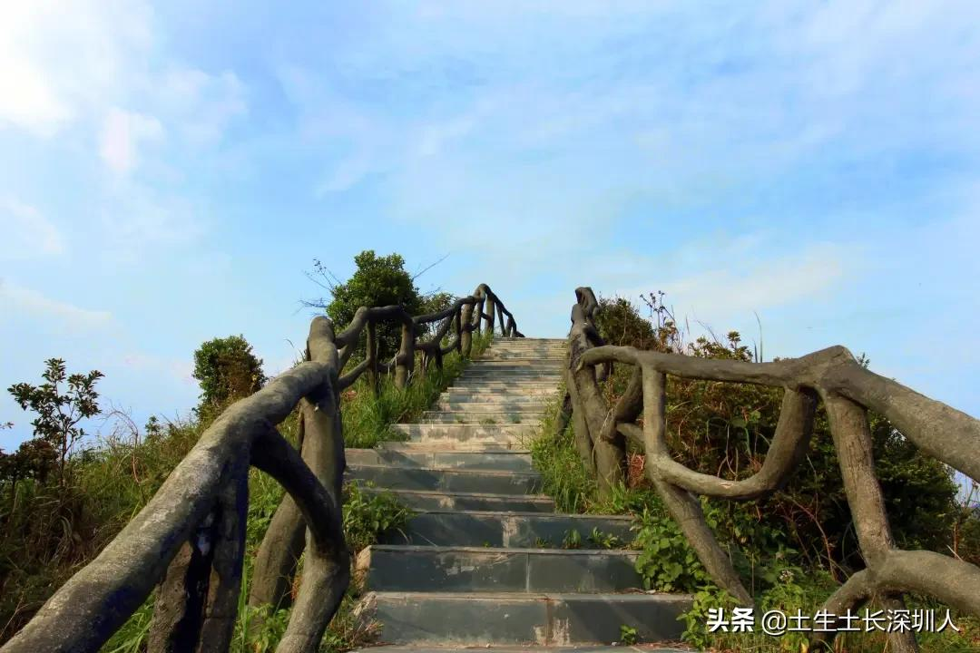 深圳这些山你肯定没少爬，但它背后的含义你知多少