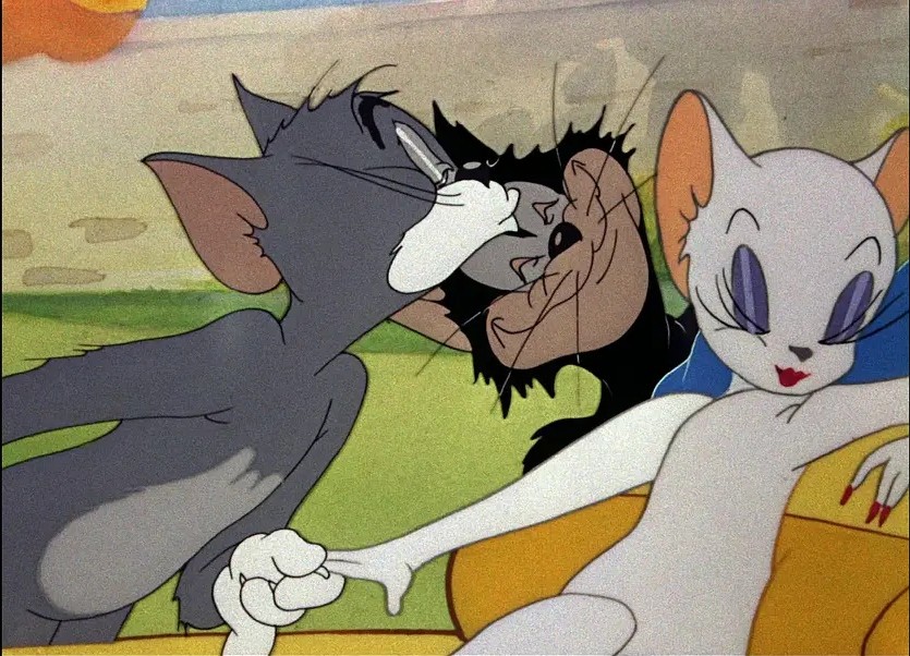《猫和老鼠》原来杰瑞一直是汤姆最重要的朋友