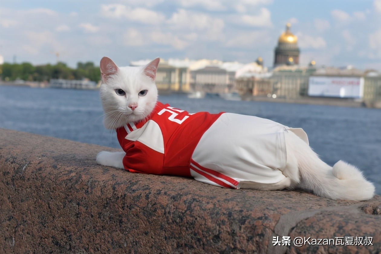 猫预言世界杯完整视频(俄罗斯最著名的猫咪之一，出身皇室，预测世界杯胜负一战成名)