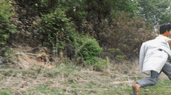 黄国忠胡蜂培训班（挖个坑）