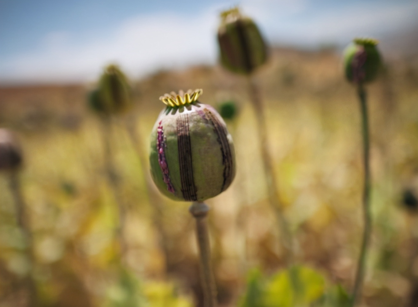 这3大发明本该造福社会，却被人另作他用，造成不可挽回的后果