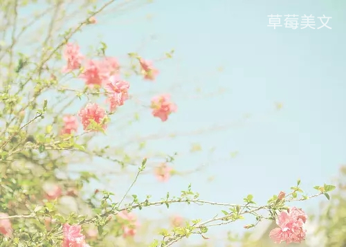 穷也好，富也好，心情好才是真的好，说得句句在理