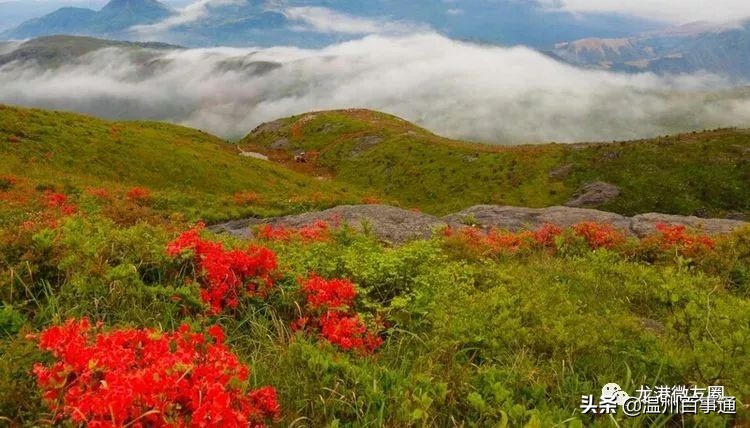 全面解读“望里”