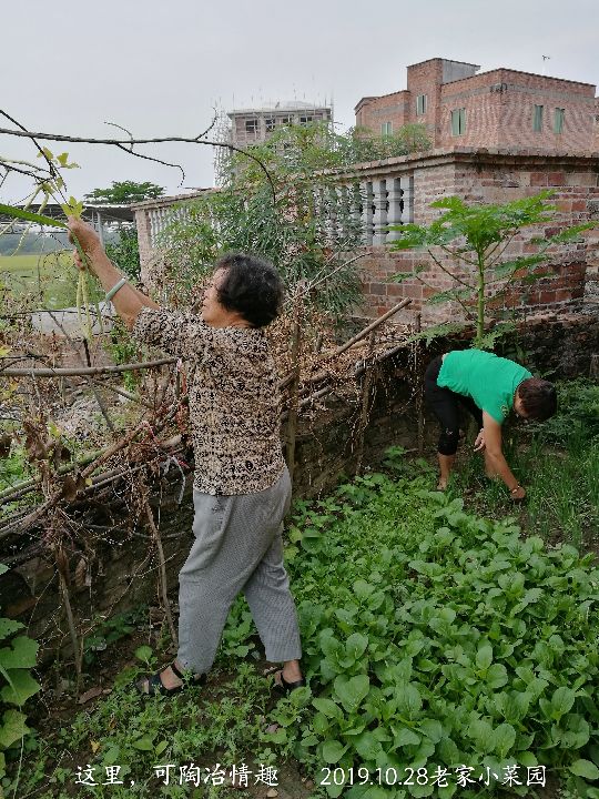 身处异地，心念故里