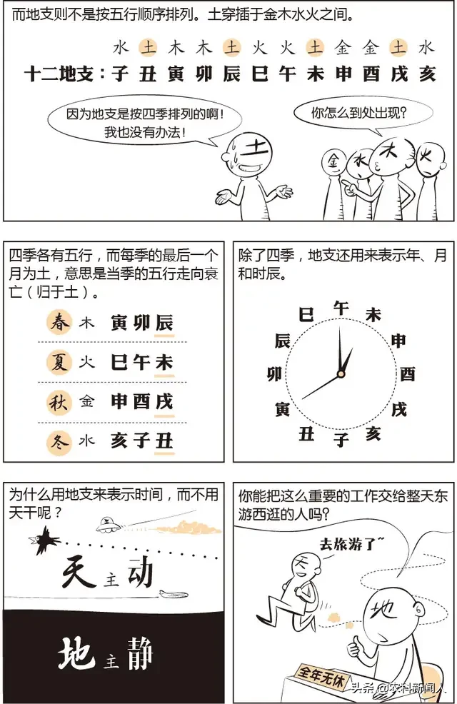 漫画易经命理基础知识三，天干地支