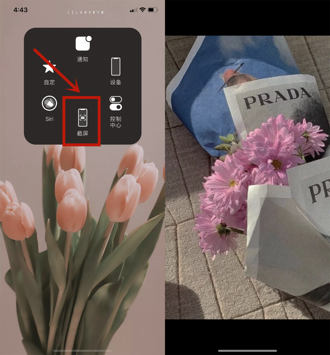 ƻ8pĿٷƻ8pô-ʳƷе