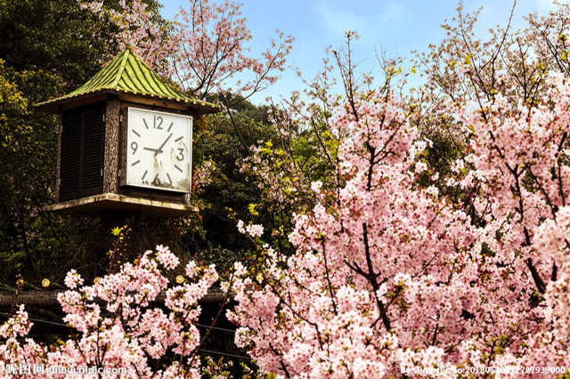 古诗中的百花盛开，分享给所有人，一起来赏花