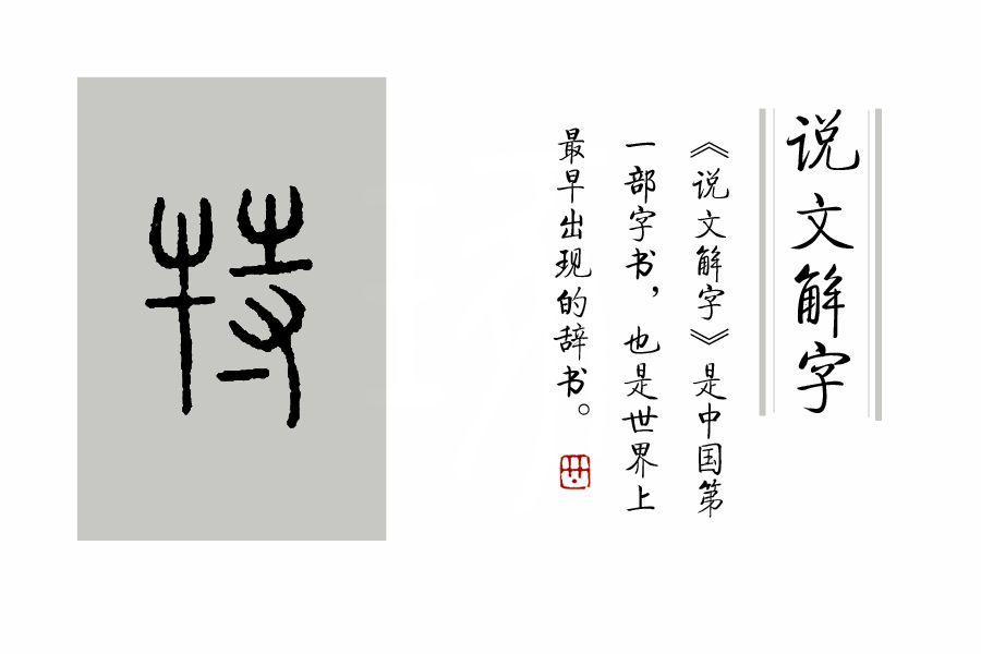 特的繁体字怎么写的（特字繁体书法）-第9张图片-大连信息网