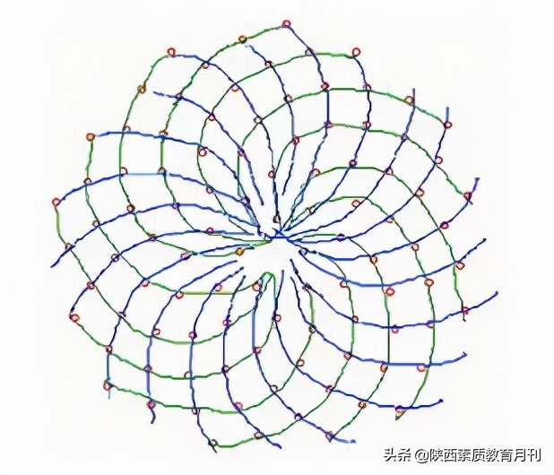 生活中黄金比的例子10条 -生活知识库-动动脑